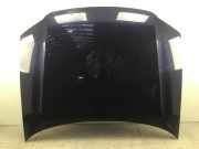 Motorhaube VW Passat 5.5 Variant (3B6)