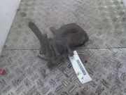 Bremssattel links hinten VW Caddy III Kombi (2KB)