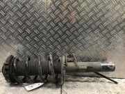 Federbein rechts vorne VW Passat B6 Variant (3C5) 2.0 TDI 103 kW 140 PS (08.20