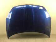 Motorhaube SKODA Fabia II (542)