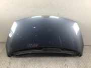 Motorhaube blau RENAULT Espace IV (K) 2.0 dCi 110 kW 150 PS (01.2006-> ) Kra