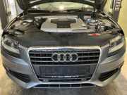 Kühler 8K0121251AA AUDI A4 (8K, B8) 2.7 TDI 140 kW 190 PS (11.2007-03.2012) CG