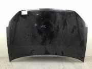 Motorhaube VW Polo IV (9N, 9A)