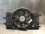 Elektrolüfter RENAULT Laguna III (T) 0130307096-03