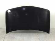 Motorhaube RENAULT Megane II Coupe/Cabriolet (EM)