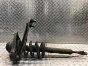 Federbein links vorne AUDI A6 Avant (4F, C6)