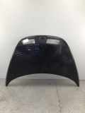 Motorhaube VW New Beetle (9C)