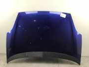 Motorhaube FIAT Grande Punto (199)