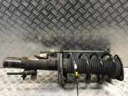 Federbein links vorne FORD Focus III (DYB) 1.0 EcoBoost 74 kW 101 PS (02.2012-