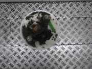 Kraftstoffpumpe CHEVROLET Matiz