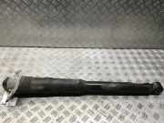 Stoßdämpfer hinten VW Touran (1T1, 1T2) 1T0513029S