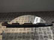 Zierleiste EX53-29734-AC JAGUAR F-Type Coupe (QQ6) 3.0 250 kW 340 PS (10.2013-