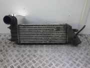 Ladeluftkühler PEUGEOT 807 IA1076870229HF