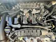 Motor ohne Anbauteile (Benzin) OPEL Crossland X (P17) 1.2 81 kW 110 PS (03.201