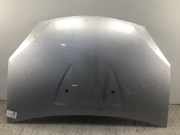 Motorhaube DACIA Sandero I (BS)
