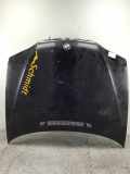 Motorhaube BMW 3er (E46)