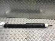 Stoßdämpfer hinten RENAULT Clio IV (BH)