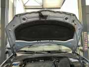 Motorhaube blau, 3U / F8K SKODA Yeti (5L) 2.0 TDI 4x4 103 kW 140 PS (05.2009-1