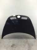 Motorhaube VW New Beetle (9C)