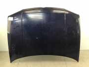 Motorhaube VW Golf IV (1J)