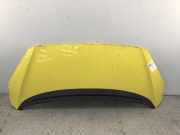 Motorhaube PEUGEOT 1007
