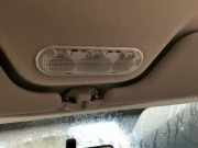 Innenleuchte RENAULT Clio III (BR0/1, CR0/1)