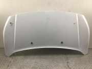 Motorhaube FORD Transit Connect V408 Kasten