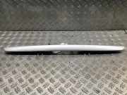 Kennzeichenleuchte MERCEDES-BENZ SLK (R170) 200 100 kW 136 PS (09.1996-03.2000