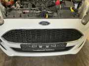 Kühlergrill Frost-Weiß FORD Fiesta VI (CB1, CCN) 1.2 44 kW 60 PS (06.2008-> )