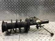 Federbein rechts vorne FORD Focus III (DYB) 1.0 EcoBoost 74 kW 101 PS (02.2012