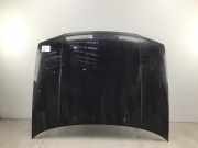 Motorhaube VW Golf IV (1J)