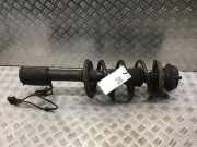 Federbein links vorne DACIA Logan Express (FS)