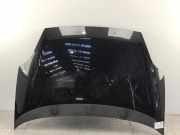 Motorhaube FIAT Grande Punto (199)