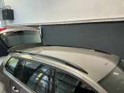 Dachreling VW Golf VII Variant (BA, BV) 1.6 TDI 81 kW 110 PS (05.2013-> ) CXXB