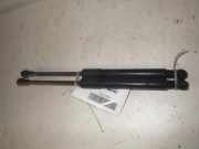 Gasfeder für Motorhaube AUDI Q5 (8R) 8R0823359A 01S