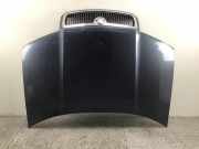 Motorhaube SKODA Fabia Kombi (6Y)