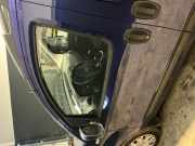 Tür links vorne FIAT Qubo (225) 1.3 JTD 55 kW 75 PS (02.2008-> ) 199A2000 7177