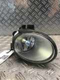 Nebelscheinwerfer links VW Phaeton (3D) 3D0941699B