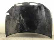 Motorhaube L041 BRILLANTSCHWARZ UNI VW Jetta III (1K2) 1.6 FSI 85 kW 116 PS (0