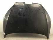 Motorhaube PEUGEOT 407
