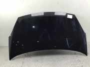 Motorhaube PEUGEOT Partner II Tepee