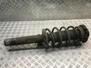 Federbein rechts vorne VW Passat B7 Variant (365)