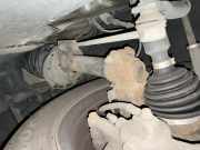 Federbein rechts vorne SEAT Leon ST (5F) 1.6 TDI 85 kW 115 PS (11.2016-> ) DDY