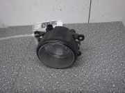 Nebelscheinwerfer links CITROËN C4 Coupe (L)