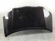 Motorhaube VW Sharan (7M)