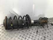 Federbein links vorne OPEL Vectra C Caravan (Z-C/SW) 2.0 DTI 74 kW 101 PS (10.2003-08.2005)