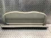 Hutablage RENAULT Scénic II (JM)