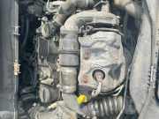 Motor ohne Anbauteile Diesel XXCC GM5Q-6006-AA FORD Transit/Tourneo 1.5 TDCi