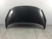 Motorhaube PEUGEOT 207 CC