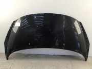 Motorhaube PEUGEOT 207 SW (WK)